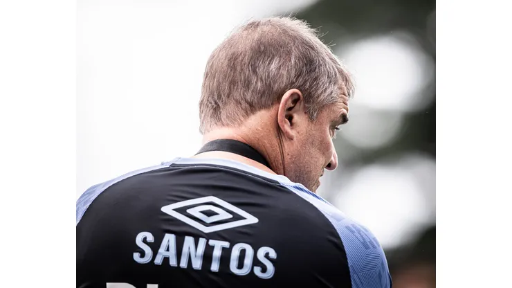 Foto: Raul Baretta/ Santos FC - Aguirre tem três opções para suprir ausência de Alex, mas há ainda a chance de improvisar volante no Santos