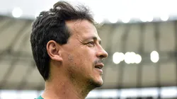 RJ - RIO DE JANEIRO - 29/07/2023 - BRASILEIRO A 2023, FLUMINENSE X SANTOS - Fernando Diniz tecnico do Fluminense durante partida contra o Santos no estadio Maracana pelo campeonato Brasileiro A 2023. Foto: Thiago Ribeiro/AGIF