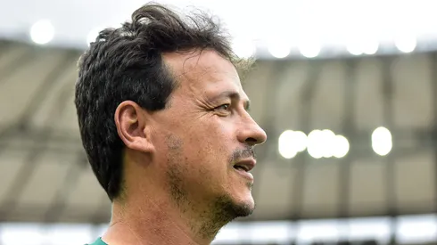 RJ - RIO DE JANEIRO - 29/07/2023 - BRASILEIRO A 2023, FLUMINENSE X SANTOS - Fernando Diniz tecnico do Fluminense durante partida contra o Santos no estadio Maracana pelo campeonato Brasileiro A 2023. Foto: Thiago Ribeiro/AGIF