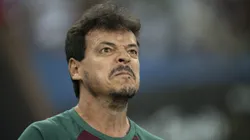 RJ - RIO DE JANEIRO - 08/08/2023 - LIBERTADORES 2023, FLUMINENSE X ARGENTINOS JUNIORS - Fernando Diniz tecnico do Fluminense durante partida contra o Argentinos Juniors no estadio Maracana pelo campeonato Libertadores 2023. Foto: Jorge Rodrigues/AGIF