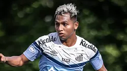 Foto: Raul Baretta/Santos FC - Alfredo Morelos foi anunciado pelo Santos