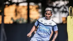 Fotos:Raul Baretta/ Santos FC.