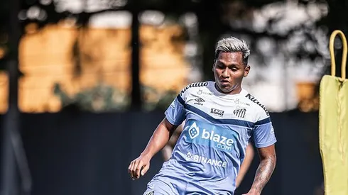 Fotos:Raul Baretta/ Santos FC.