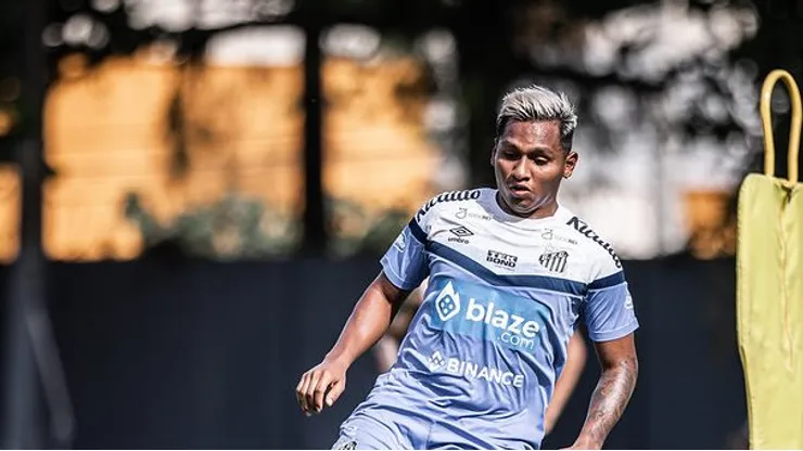 Fotos:Raul Baretta/ Santos FC.