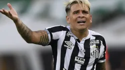 Foto Divulgação: Mauro Pimentel – Pool/Getty Images