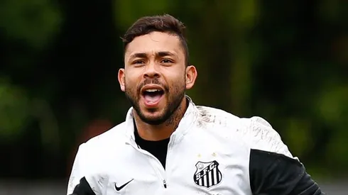 Foto: Ricardo Saibun/Santos FC - Vladimir, goleiro do Peixe, é contestado na web