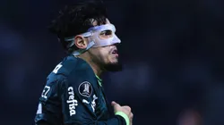 Gómez recusou proposta de US$ 30 milhões, mas Palmeiras parece olhar para outros zagueiros na América do Sul