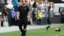 Foto: Rodrigo Gazzanel/Ag.Corinthians