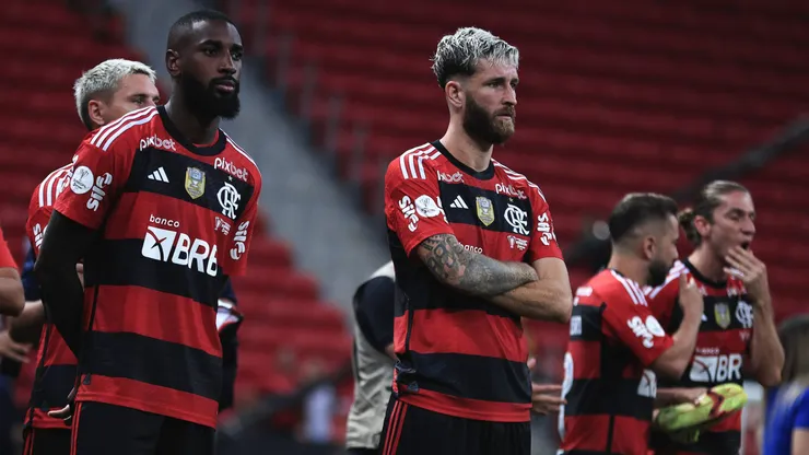 Gramado pode ser problema para o Flamengo em jogo contra o Santos. Foto: Ettore Chiereguini/AGIF