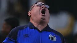 Foto: Ettore Chiereguini/AGIF - Marcelo Fernandes tecnico do Santos comemora gol de Marcos Leonardo jogador da sua equipe durante partida contra o Vasco no estadio Vila Belmiro pelo campeonato Brasileiro A 2023.