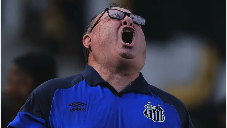 Foto: Ettore Chiereguini/AGIF - Marcelo Fernandes tecnico do Santos comemora gol de Marcos Leonardo jogador da sua equipe durante partida contra o Vasco no estadio Vila Belmiro pelo campeonato Brasileiro A 2023.