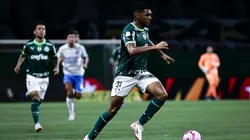 Luis Guilherme projeta o jogo do Palmeiras contra o Botafogo. Foto: Fabio Giannelli/AGIF