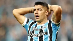 Luis Suárez não deve permanecer em 2024 e Grêmio pode contratar substituto também do Uruguai