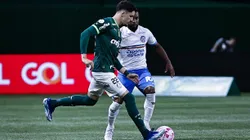 Piquerez jogador do Palmeiras durante partida contra o Bahia no estadio Arena Allianz Parque pelo campeonato Brasileiro A 2023. Foto: Fabio Giannelli/AGIF