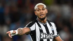 (Photo by Michael Regan/Getty Images) - Joelinton