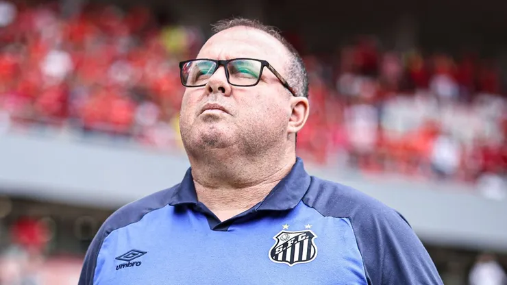 Foto: Maxi Franzoi/AGIF - Marcelo Fernandes tecnico do Santos durante partida contra o Internacional no estadio Beira-Rio pelo campeonato Brasileiro A 2023.
