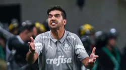 Foto: Maxi Franzoi/AGIF - Um dos nomes aprovados por Abel vem irritando a torcida do Palmeiras.
