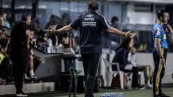 Marcelo Fernandes técnico interino do Santos durante partida contra o Atletico-GO no estádio Vila Belmiro pelo campeonato Brasileiro A 2022. Foto: Raul Baretta/AGIF