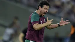 RJ - RIO DE JANEIRO - 27/09/2023 - LIBERTADORES 2023, FLUMINENSE X INTERNACIONAL - Fernando Diniz tecnico do Fluminense durante partida contra o Internacional no estadio Maracana pelo campeonato Libertadores 2023. Foto: Alexandre Loureiro/AGIF