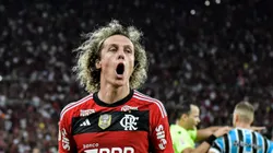 David Luiz quer ficar até dez/24 e Flamengo toma decisão urgente - Foto: Thiago Ribeiro/AGIF