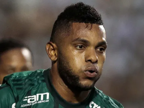 Palmeiras REVIVE época de Borja e faz web se revoltar com Leila e Abel