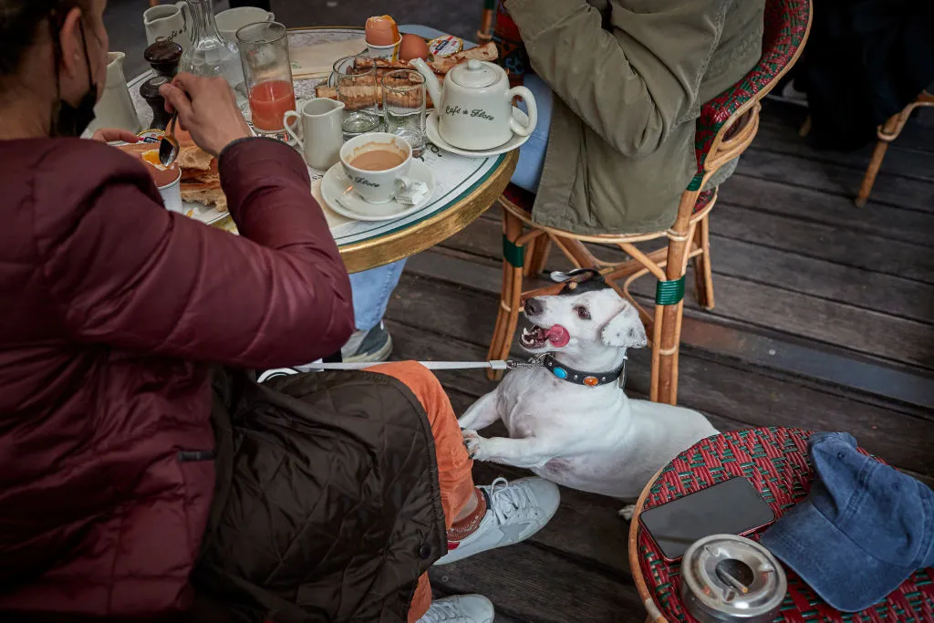 Kiran Ridley/Getty Images