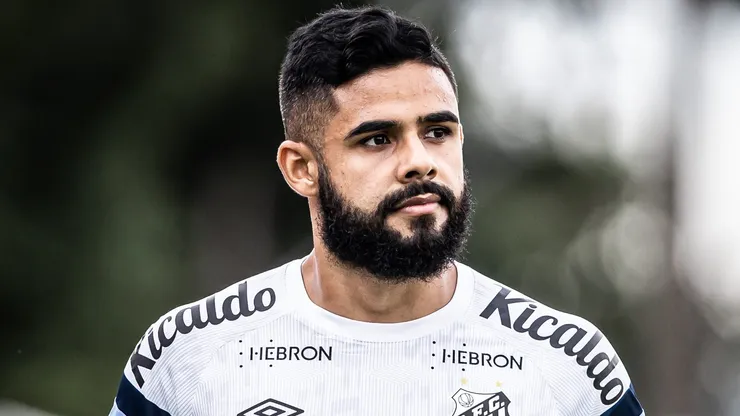 Fotos: Raul Baretta/ Santos FC.