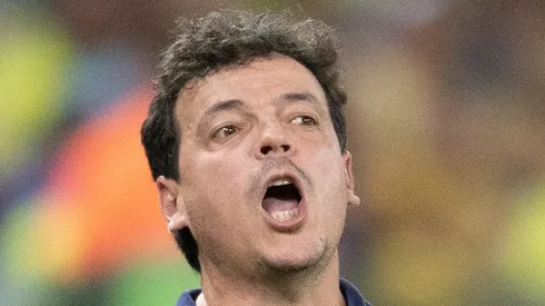 MT - CUIABA - 12/10/2023 - ELIMINATORIAS COPA DO MUNDO 2026, BRASIL X VENEZUELA - Fernando Diniz tecnico do Brasil durante partida contra o Venezuela no estadio Arena Pantanal pelo campeonato Eliminatorias Copa Do Mundo 2026. Foto: Gil Gomes/AGIF