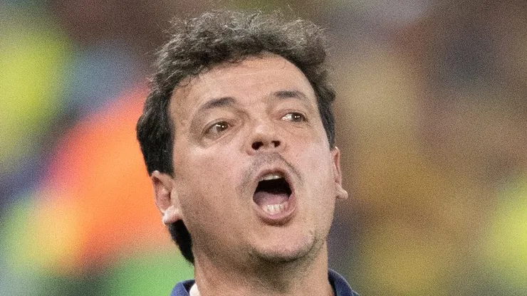 MT - CUIABA - 12/10/2023 - ELIMINATORIAS COPA DO MUNDO 2026, BRASIL X VENEZUELA - Fernando Diniz tecnico do Brasil durante partida contra o Venezuela no estadio Arena Pantanal pelo campeonato Eliminatorias Copa Do Mundo 2026. Foto: Gil Gomes/AGIF