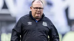 SP - SANTOS - 01/10/2023 - BRASILEIRO A 2023, SANTOS X VASCO - Marcelo Fernandes tecnico do Santos durante partida contra o Vasco no estadio Vila Belmiro pelo campeonato Brasileiro A 2023. Foto: Abner Dourado/AGIF