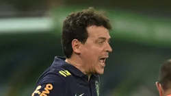Photo by Pedro Vilela/Getty Images - Fernando Diniz perdeu nome na Seleção Brasileira