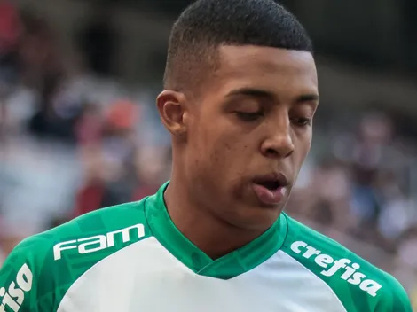 Vanderlan indica trunfo do Palmeiras para retorno ao Brasileirão