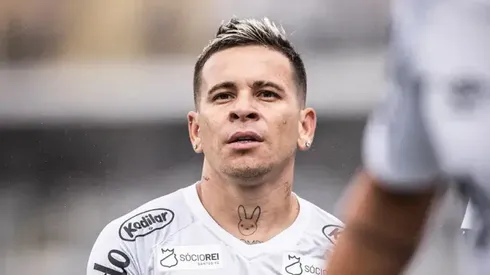 Fotos: Raul Baretta/ Santos FC