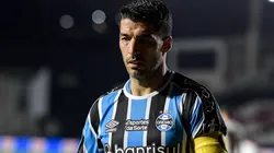 Foto: Thiago Ribeiro/AGIF - Suárez: uruguaio pode ter novo companheiro no Grêmio