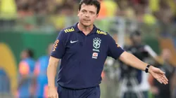 MT - CUIABA - 12/10/2023 - ELIMINATORIAS COPA DO MUNDO 2026, BRASIL X VENEZUELA - Fernando Diniz tecnico do Brasil durante partida contra o Venezuela no estadio Arena Pantanal pelo campeonato Eliminatorias Copa Do Mundo 2026. Foto: Gil Gomes/AGIF