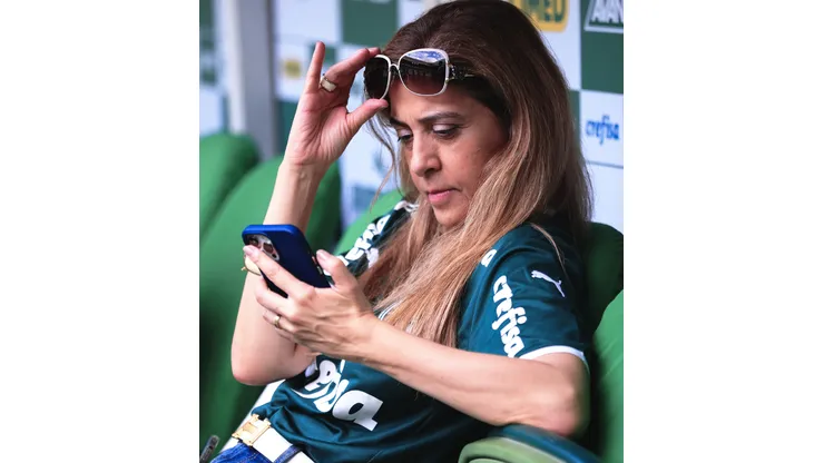 Ettore Chiereguini/AGIF. Torcida do Palmeiras 'cresce o olho' por titular do Santos