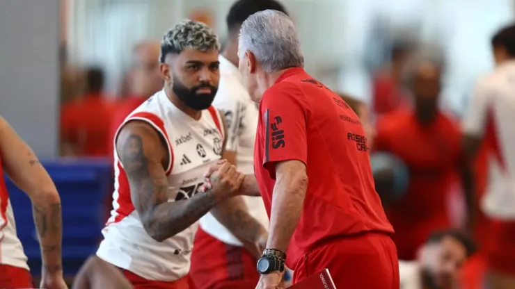 Foto: Gilvan de Souza /Flamengo