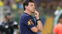 Foto: Gil Gomes/AGIF- Fernando Diniz