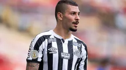 Alison está em recuperação de cirurgia no joelho e está fora dos planos do Peixe