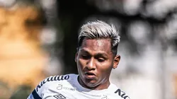 Foto: Raul Baretta/ Santos FC