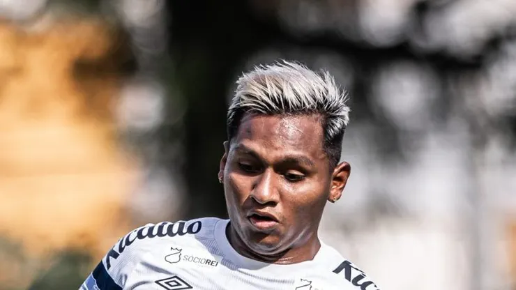 Foto: Raul Baretta/ Santos FC