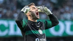 Gabriel é o arqueiro titular do Coxa