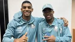 Foto: Divulgação Palmeiras