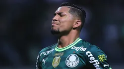 SP - SAO PAULO - 15/09/2023 - BRASILEIRO A 2023, PALMEIRAS X GOIAS - Rony jogador do Palmeiras durante partida contra o Goias no estadio Arena Allianz Parque pelo campeonato Brasileiro A 2023. Foto: Ettore Chiereguini/AGIF