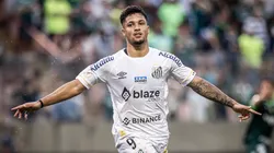 Foto: Raul Baretta/Santos FC - Atacante do Peixe é o mais eficaz do Brasileirão