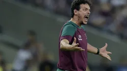 Foto: Alexandre Loureiro/AGIF- Fernando Diniz