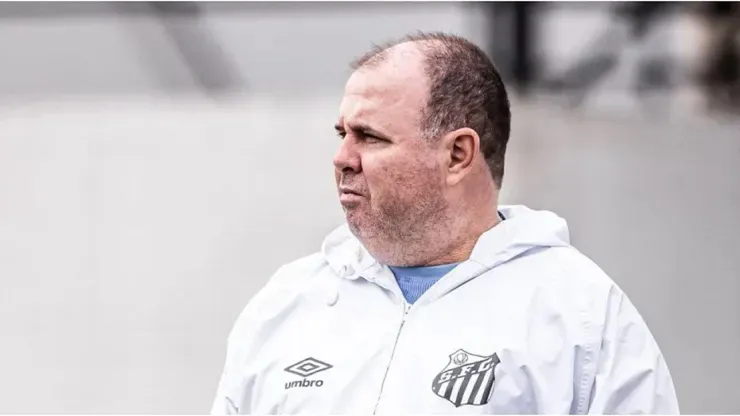 Foto: Raul Baretta/ Santos FC