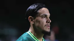 Gómez chegou ao Verdão em 2018