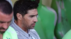 MG - BELO HORIZONTE - 30/07/2023 - BRASILEIRO A 2023, AMERICA-MG X PALMEIRAS - Abel Ferreira tecnico do Palmeiras durante partida contra o America-MG no estadio Independencia pelo campeonato Brasileiro A 2023. Foto: Gilson Lobo/AGIF