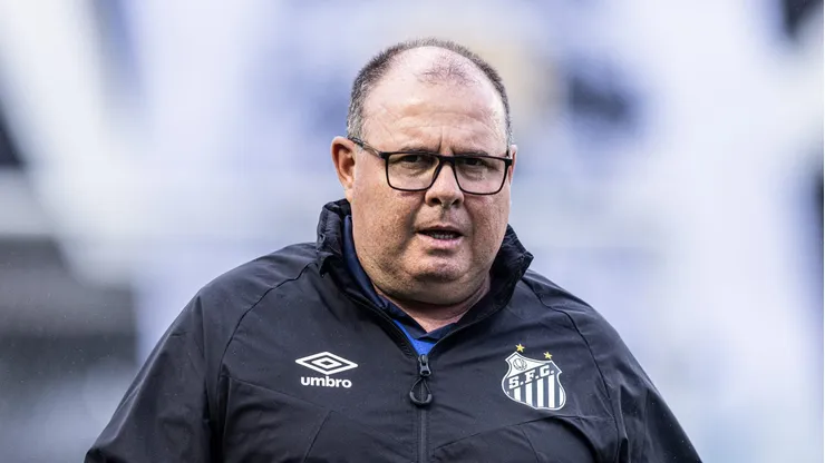 SP - SANTOS - 01/10/2023 - BRASILEIRO A 2023, SANTOS X VASCO - Marcelo Fernandes tecnico do Santos durante partida contra o Vasco no estadio Vila Belmiro pelo campeonato Brasileiro A 2023. Foto: Abner Dourado/AGIF